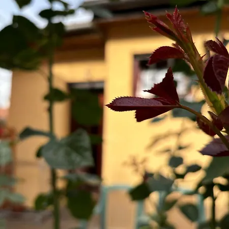 Villa Residential Old Town Sarajevo